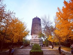 -玲珑塔公园