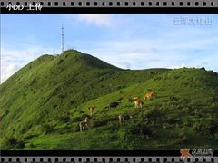 云浮风光-云浮市迎宾馆·餐饮部