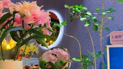 -花隐·美芙炫海菲秀皮肤管理中心