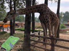 -大连森林动物园