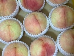 -老袁家蜜桃农场·阳山水蜜桃