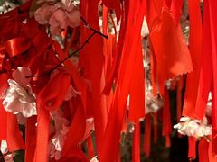 -杭州黄龙洞