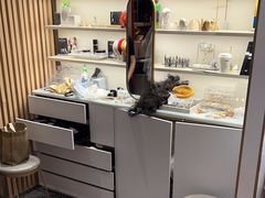-海马体大师店(广州天汇广场IGC大师店)