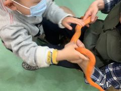 -藦茜花园宠物主题亲子互动体验馆(国顺东路店)