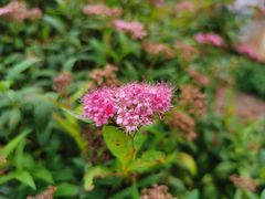 -昆明市金殿名胜区