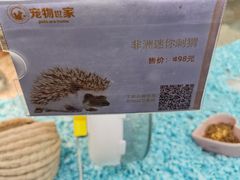 -宠物世家(仲盛世界商城店)