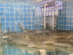-杨记海鲜楼(三门黑金冠店)