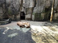 -南昌动物园