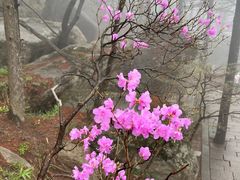 -崂山巨峰游览区