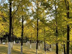 -重庆中央公园(渝北区)