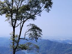 -广州市帽峰山景区