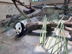 -宁波野生动物园