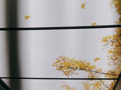 -京味斋·烤鸭·北京菜(安贞店)