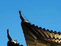-梅城古镇