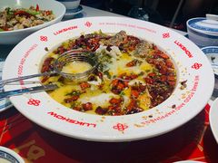 招牌酸菜鲈鱼-禄鼎记·多口味酸菜鱼(侨鑫店)