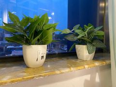 -广雅茶楼(柳州一店)