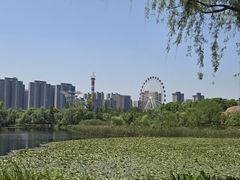 -洋湖国家湿地公园