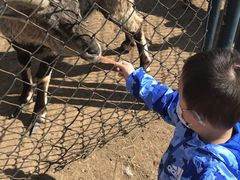 -大连森林动物园