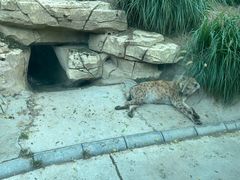 -北京野生动物园