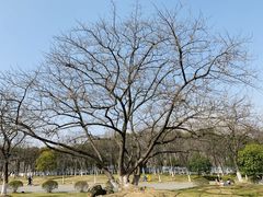 -南京市江宁方山