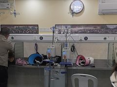 -动物缘宠物医院·骨科·猫科(西二环店)