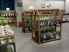 -鹿岛会员店 (龙湖三千集天街店)