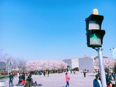 -龙美术馆西岸馆-停车场