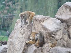 -西安秦岭野生动物园