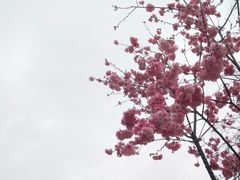 -昆明动物园