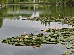 -白鹭湾湿地公园