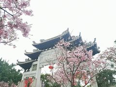 -宝墨园景区