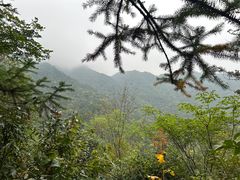 -燕子河大峡谷天坑仙境