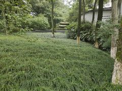 -杭州花家山庄