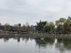 -北湖公园