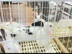 -奎屯友好时尚购物中心