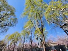 -三里河公园