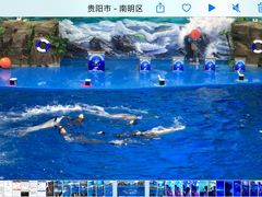 -多彩贵州城极地海洋世界