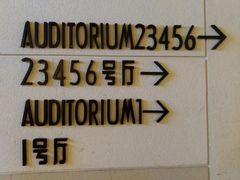 -大光明电影院(南京西路店)