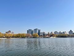 -莲花池公园