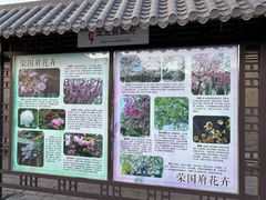 -荣国府