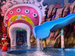 -烟台海昌鲸鲨海洋公园