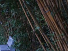-晓港公园