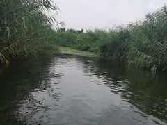 -白洋淀景区