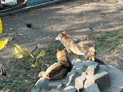 -哈尔滨北方森林动物园