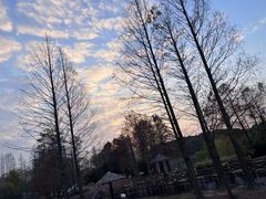 -上海野生动物园