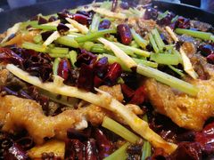 -老板恋上鱼(恒隆广场店)