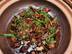 -鸽子窝(青塔店)