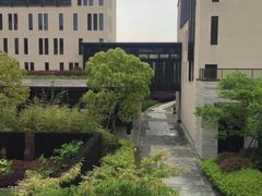 -上海崇明金茂凯悦酒店