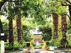 -广州神农草堂中医药博物馆