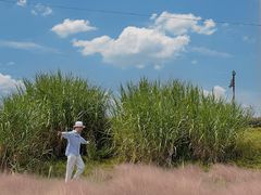 -王借岗森林公园